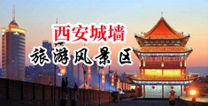 美女让我操逼中国陕西-西安城墙旅游风景区