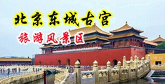 美女日逼高潮视频免费网站中国北京-东城古宫旅游风景区